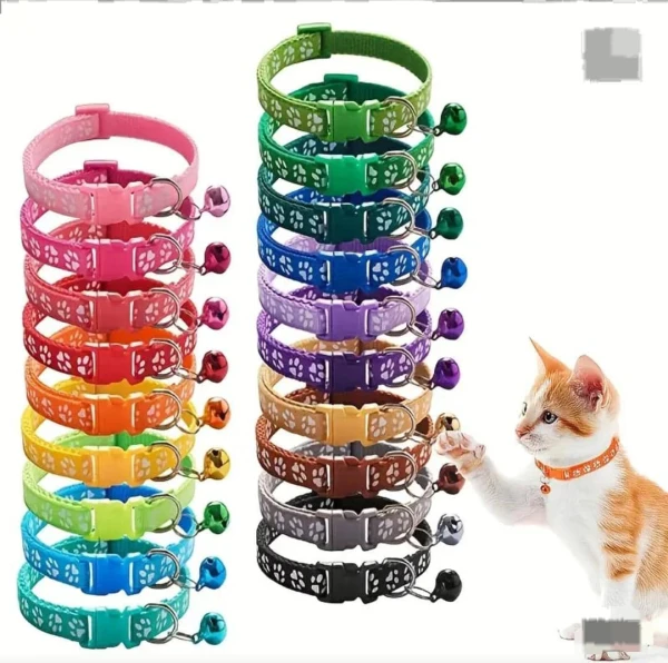 📿Collar de mascota con cascabel🐶's foto | Tienda Colosal |  BizneCubano
